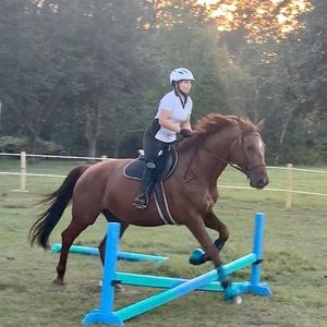 Meet your Posher, Lillian